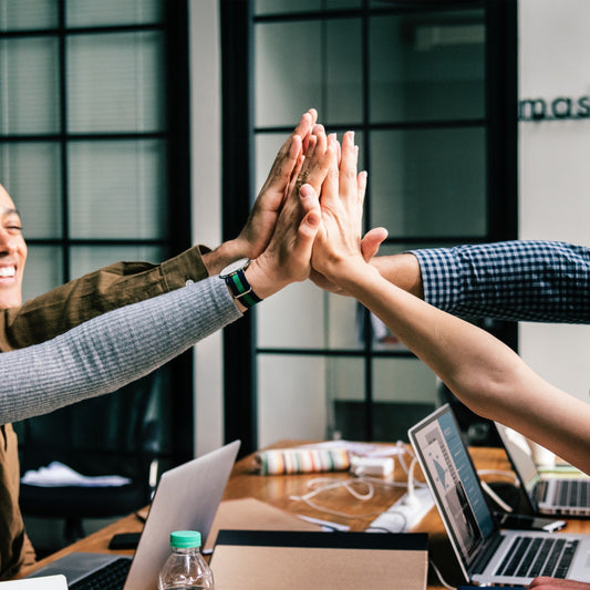 Creating Consensus in Your Team - Up to 12 Delegates -